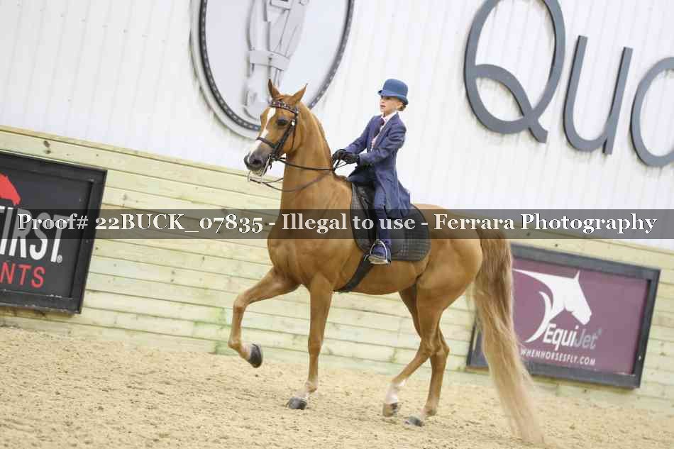 Proof 22BUCK_07835