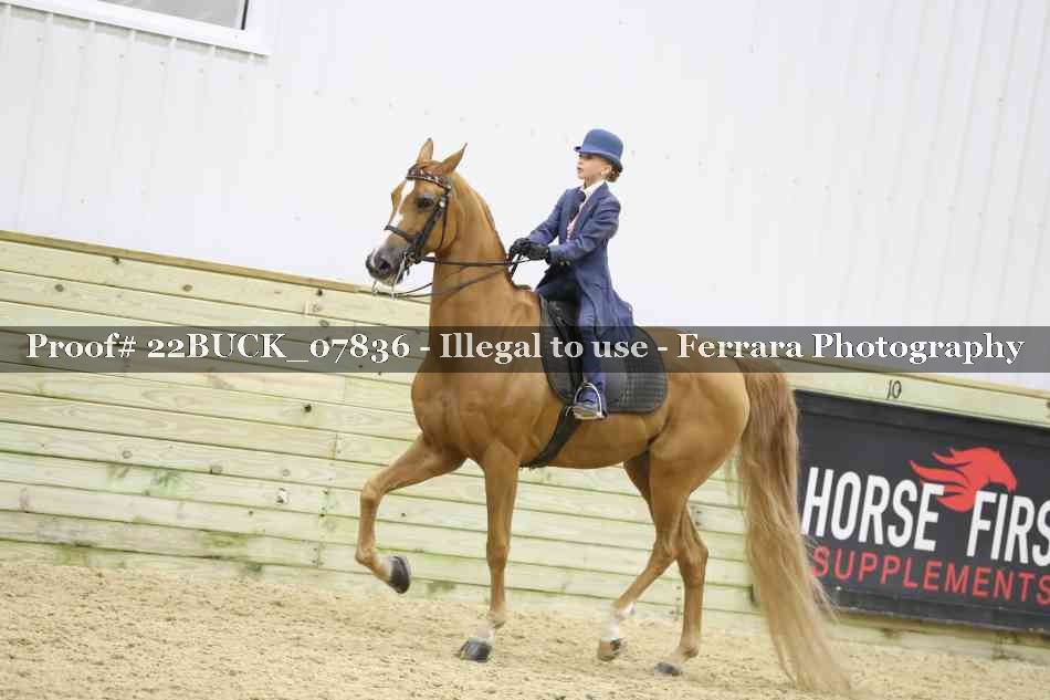 Proof 22BUCK_07836