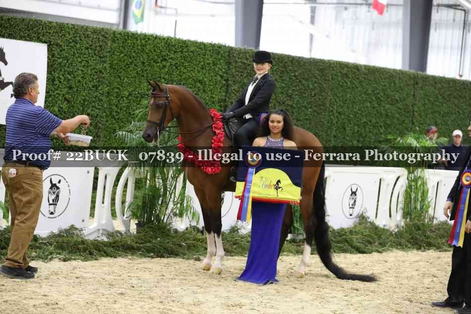 Proof 22BUCK_07839