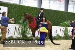 22BUCK_07839 proof