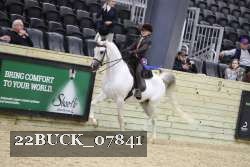 22BUCK_07841 proof