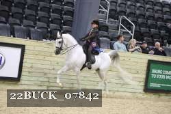 22BUCK_07842 proof