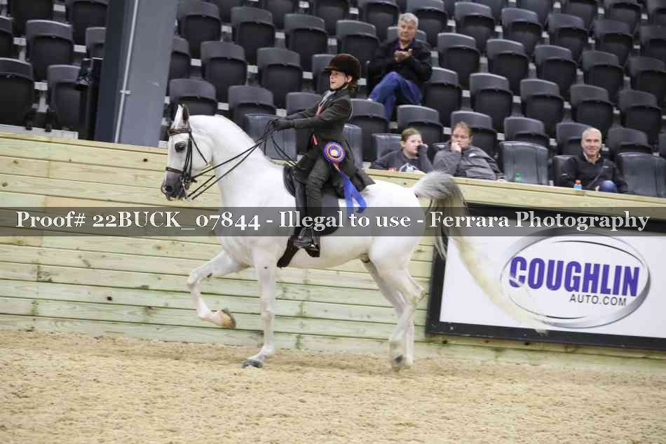 Proof 22BUCK_07844