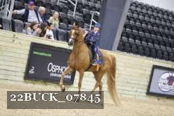 22BUCK_07845 proof