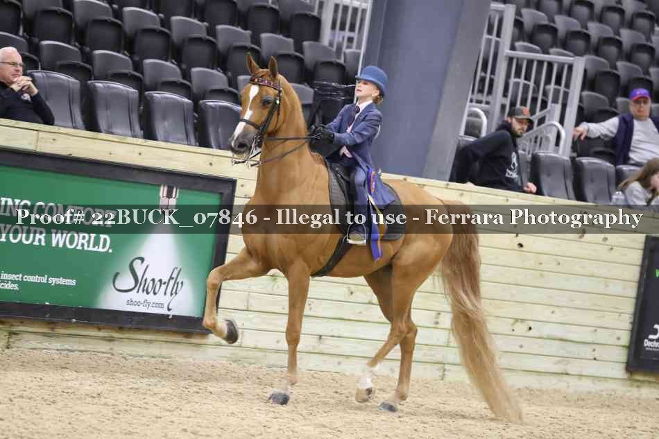 Proof 22BUCK_07846