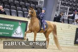 22BUCK_07846 proof
