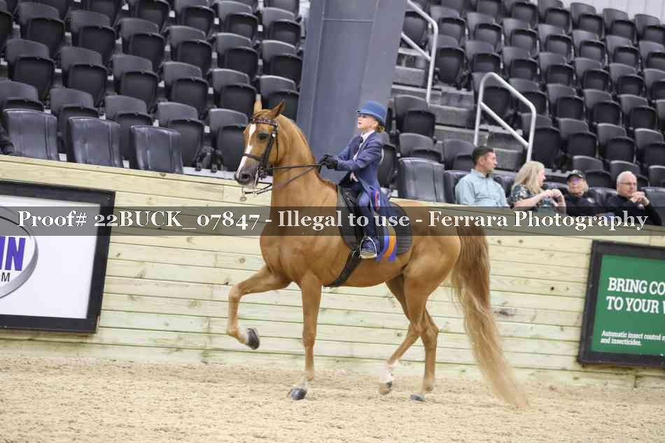 Proof 22BUCK_07847