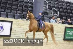 22BUCK_07847 proof
