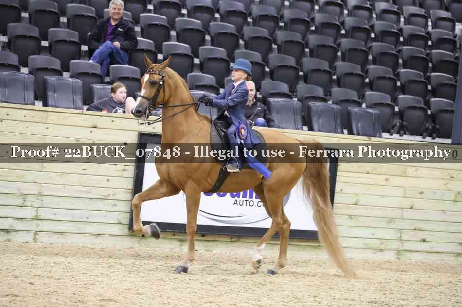 Proof 22BUCK_07848