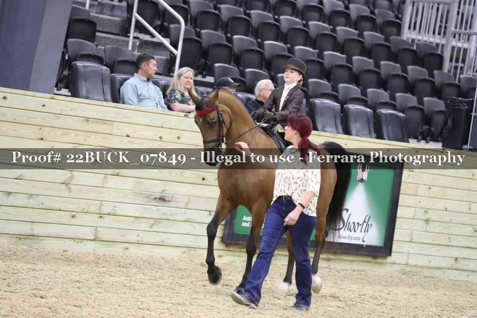 Proof 22BUCK_07849