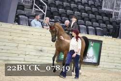 22BUCK_07849 proof