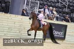 22BUCK_07851 proof