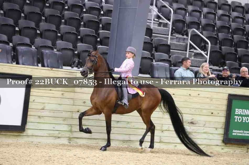 Proof 22BUCK_07853