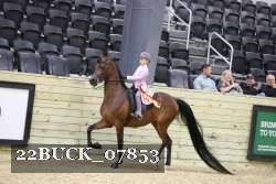 22BUCK_07853 proof
