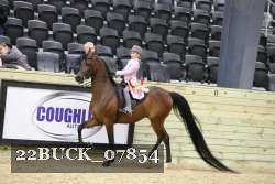 22BUCK_07854 proof