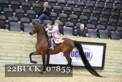 22BUCK_07855 proof