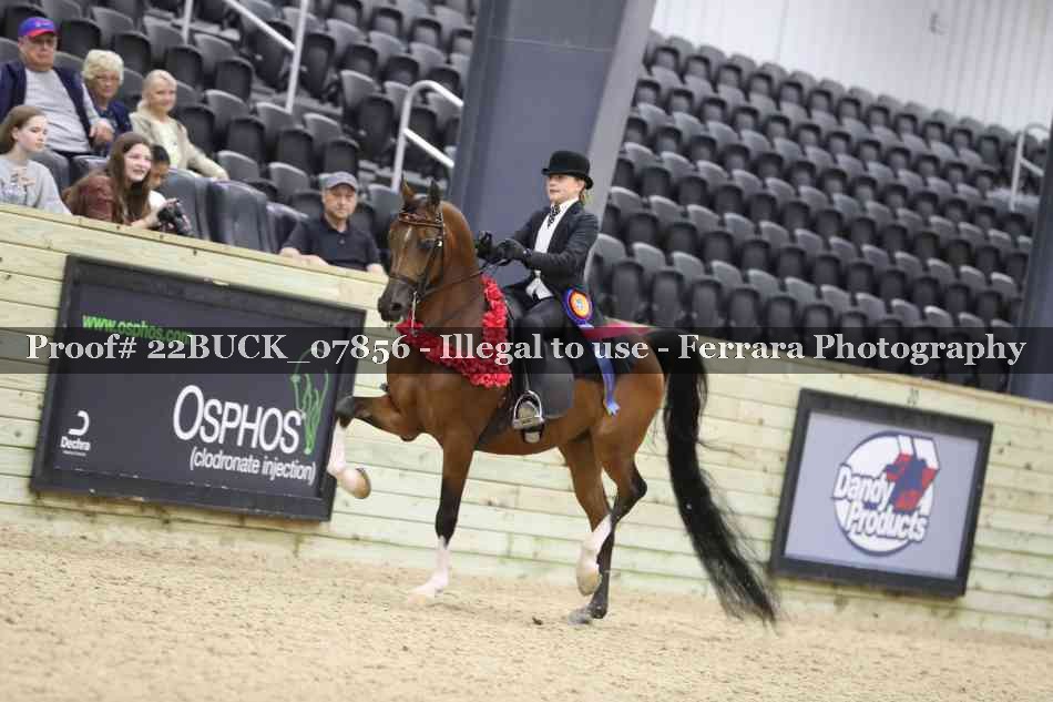 Proof 22BUCK_07856
