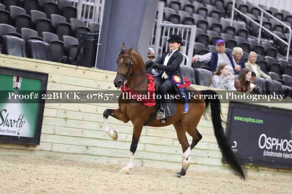 Proof 22BUCK_07857