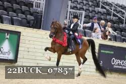 22BUCK_07857 proof