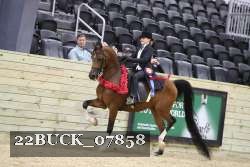 22BUCK_07858 proof