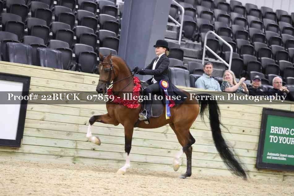 Proof 22BUCK_07859