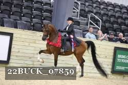 22BUCK_07859 proof