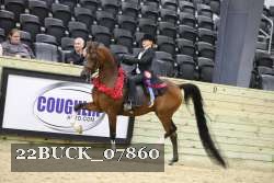 22BUCK_07860 proof