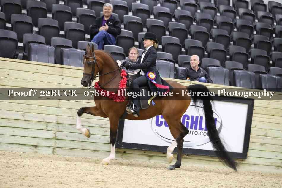Proof 22BUCK_07861