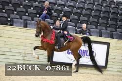 22BUCK_07861 proof