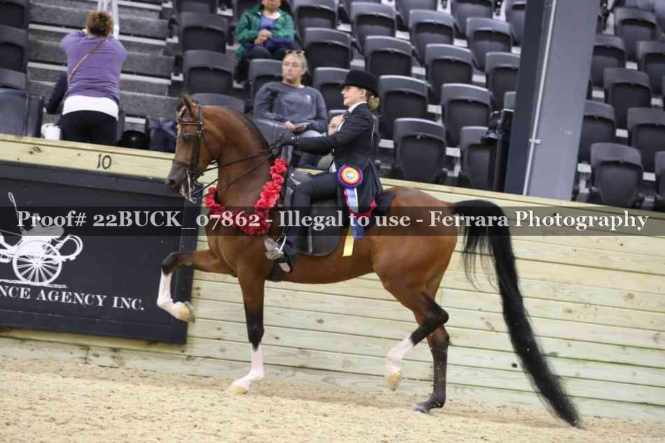 Proof 22BUCK_07862