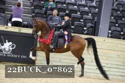22BUCK_07862 proof