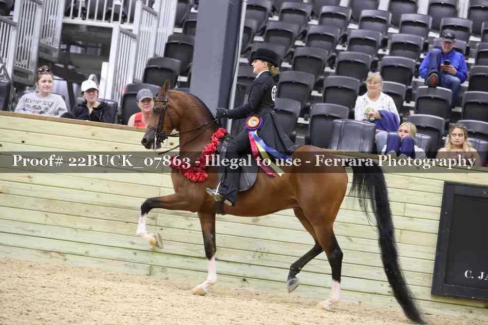 Proof 22BUCK_07863