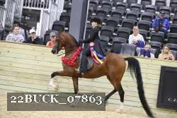 22BUCK_07863 proof
