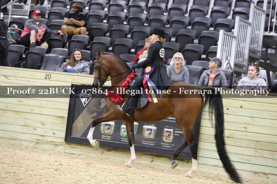 Proof 22BUCK_07864