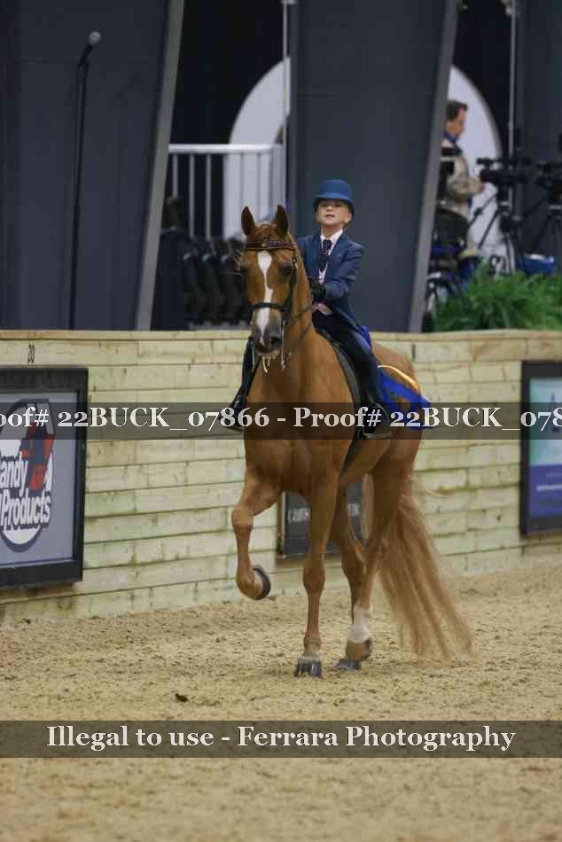 Proof 22BUCK_07866
