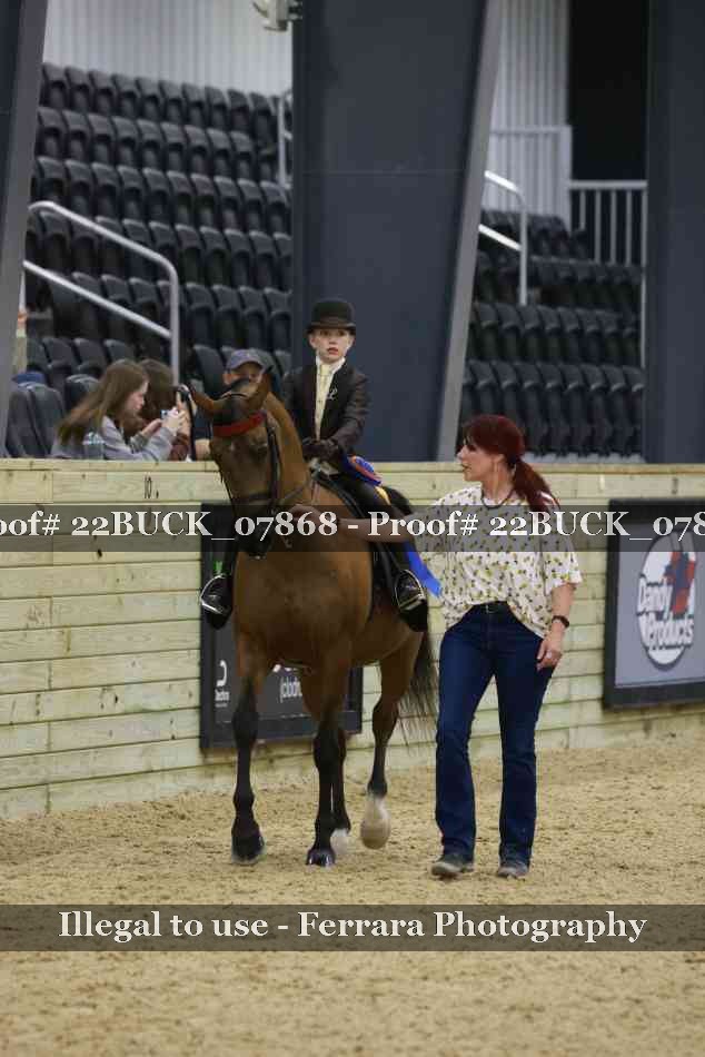 Proof 22BUCK_07868