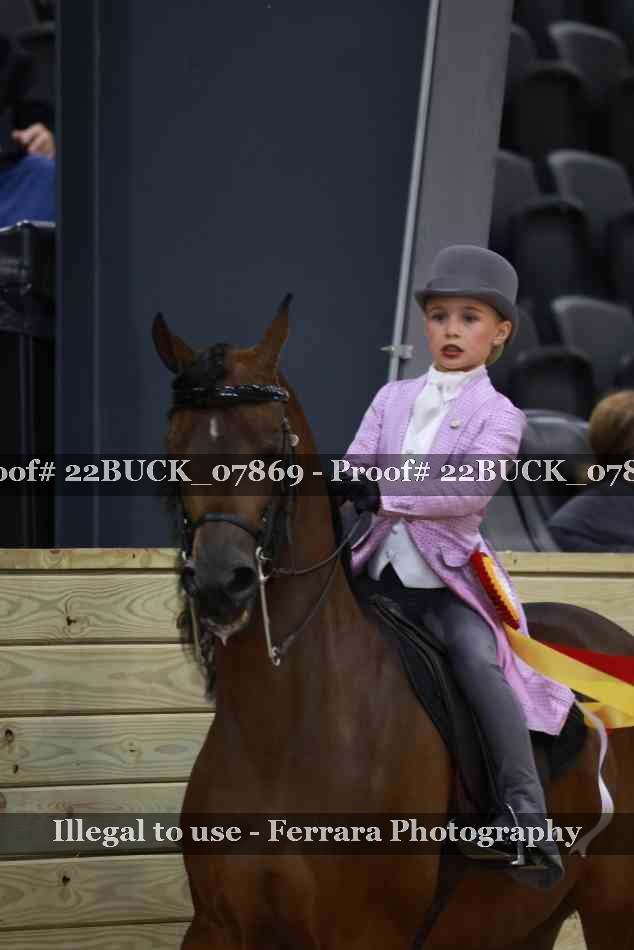 Proof 22BUCK_07869