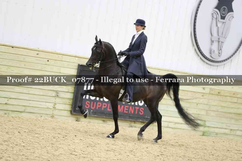 Proof 22BUCK_07877