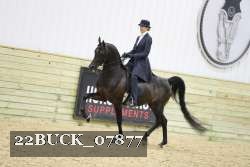 22BUCK_07877 proof