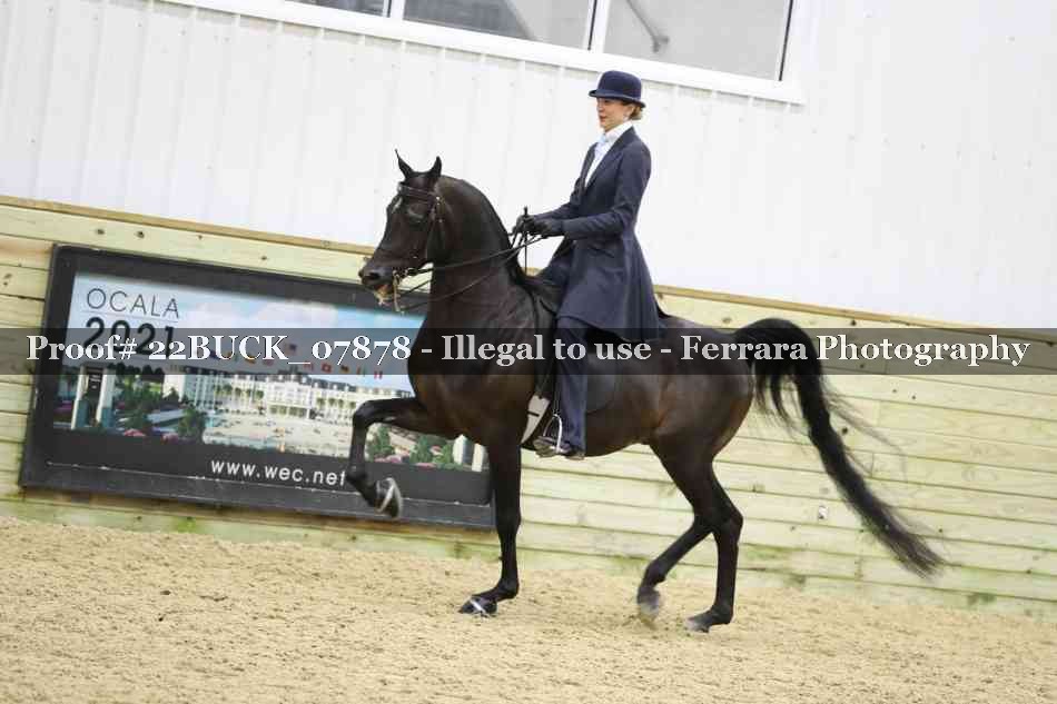 Proof 22BUCK_07878