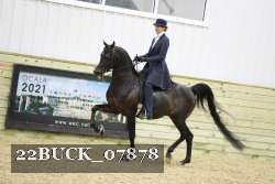 22BUCK_07878 proof