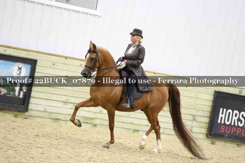 Proof 22BUCK_07879