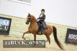 22BUCK_07879 proof