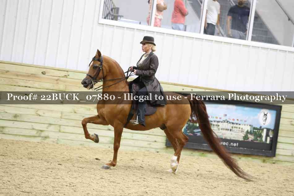 Proof 22BUCK_07880