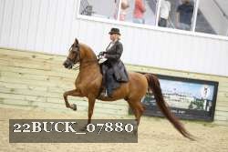 22BUCK_07880 proof