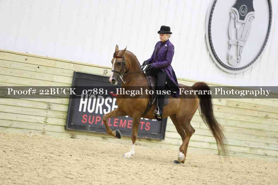 Proof 22BUCK_07881