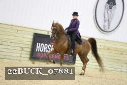 22BUCK_07881 proof