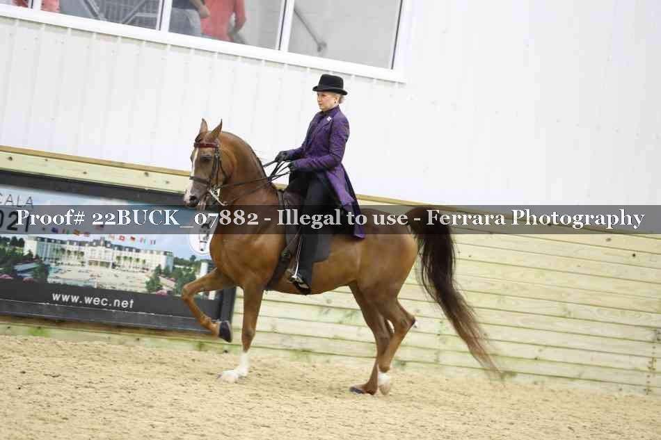 Proof 22BUCK_07882