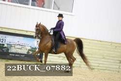 22BUCK_07882 proof