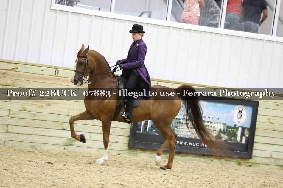 Proof 22BUCK_07883